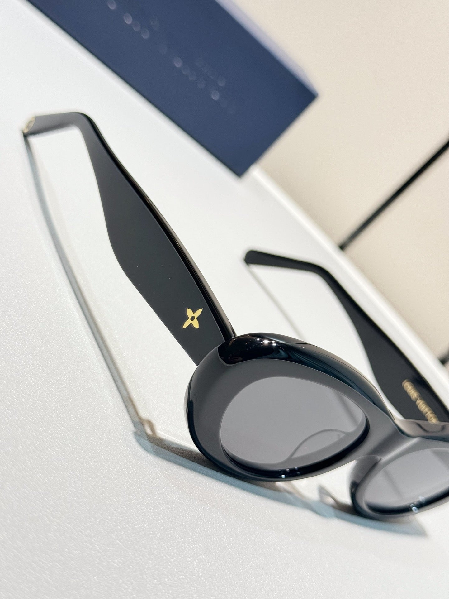 Inspired Louis Vuitton Z1981E – Oval Black Sunglasses (1:1 Mirror Quality)