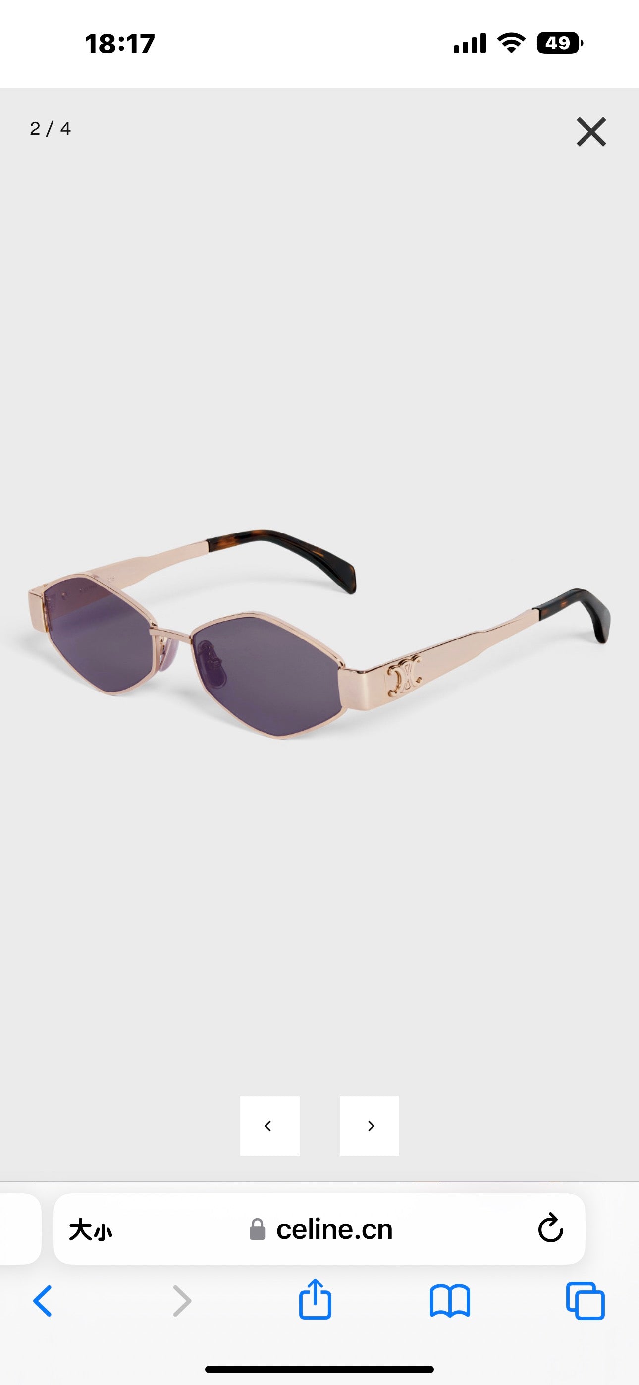 Inspired CELINE CL40254U – Triomphe Metal 02 Sunglasses (1:1 Mirror Quality)
