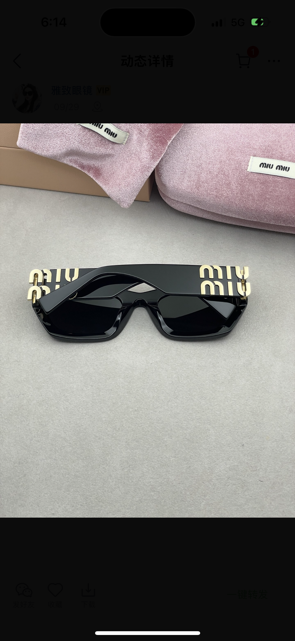 Inspired Miu Miu SMU 09W Cat-Eye Sunglasses – Bold Statement Unisex Design (1:1 Mirror Quality)